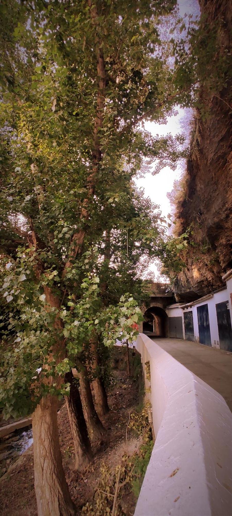 Casa Cueva Las Chicas Del Puente Setenil De Las Bodegas Esterno foto